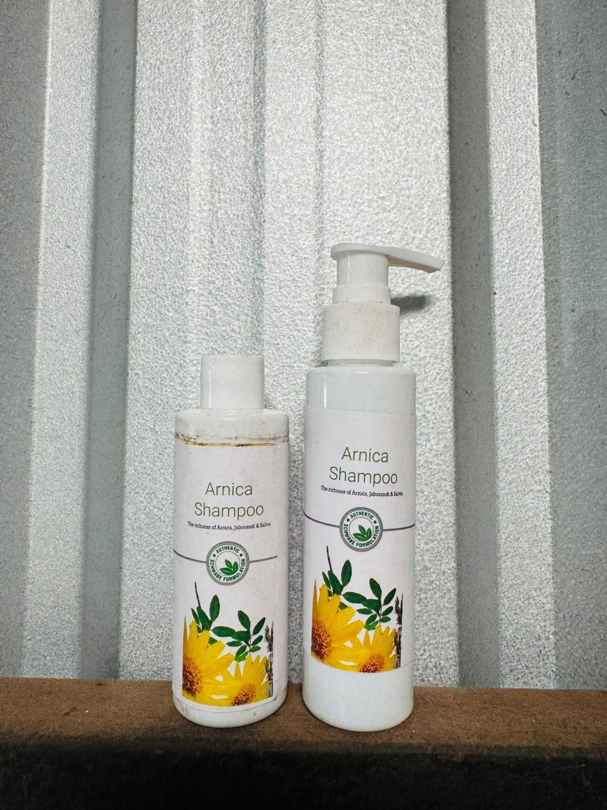 BT Boericke & Tafel B&T Arnica Shampoo (Pack of 2)